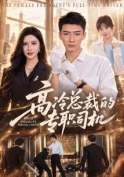 高冷总裁的专职司机